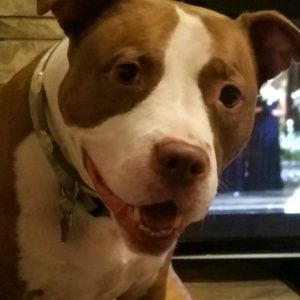 Meet your Posher, Nathan